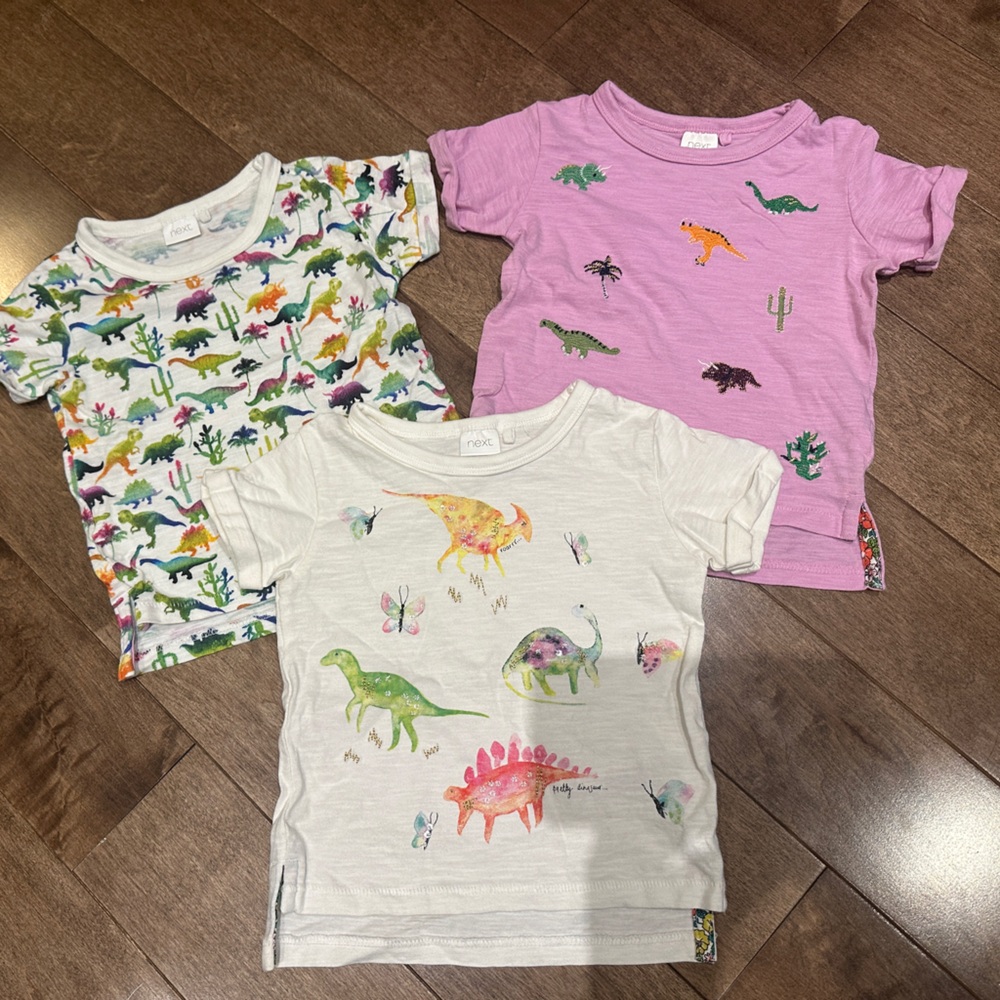 ⭐️BUNDLE 10 for $50⭐️ NEXT DIRECT • Colorful Dinosaur Kids T-Shirt Set
